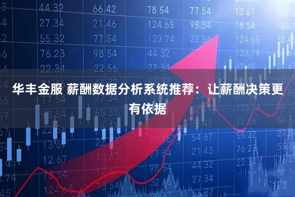 华丰金服 薪酬数据分析系统推荐：让薪酬决策更有依据