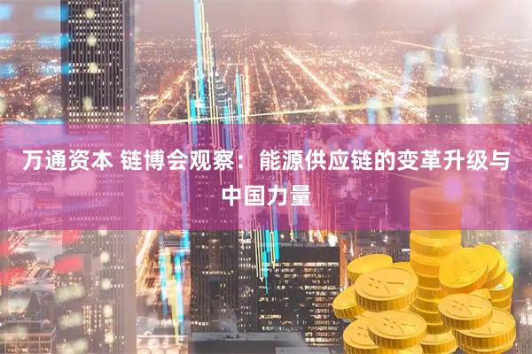 万通资本 链博会观察：能源供应链的变革升级与中国力量